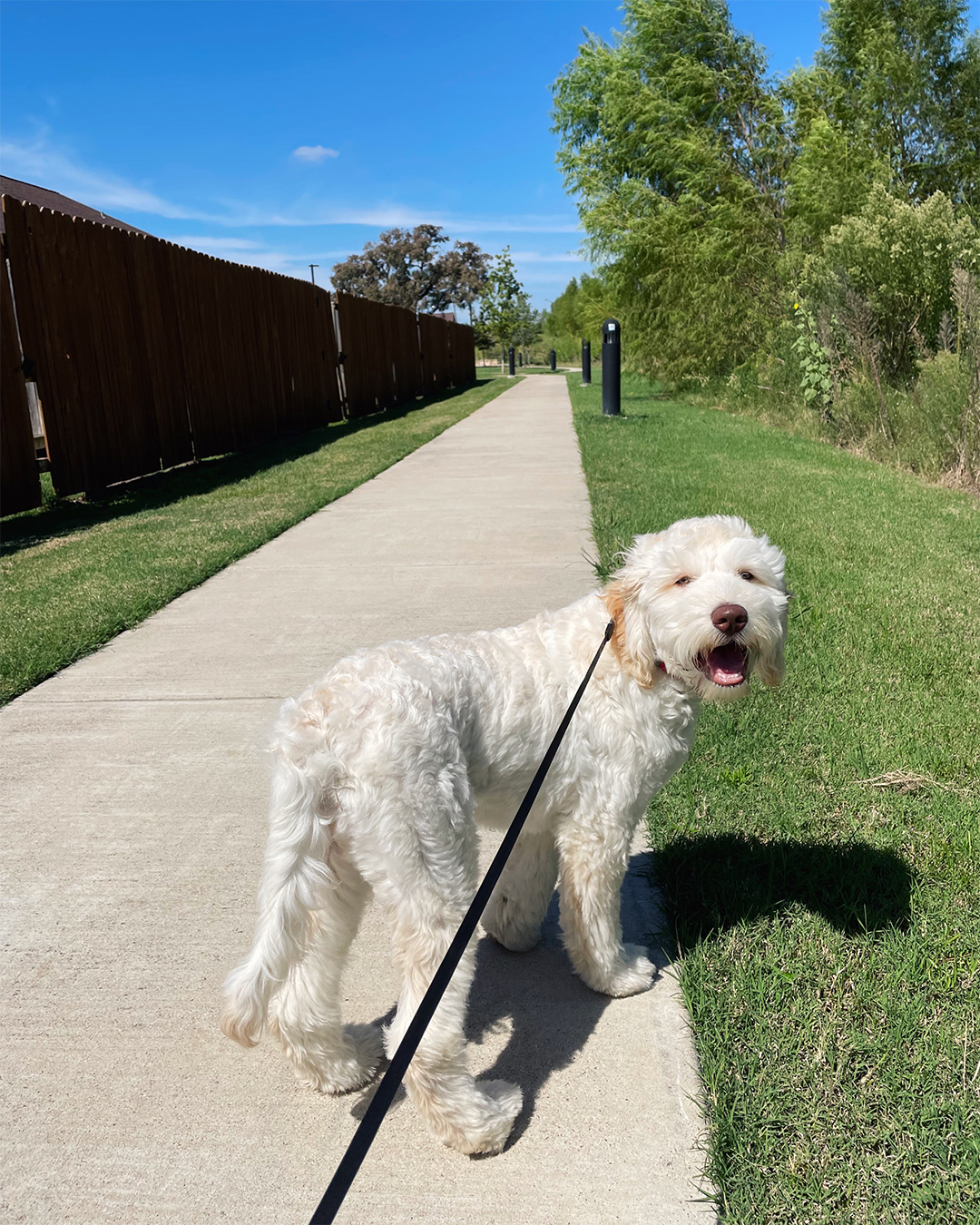 Walking Trails